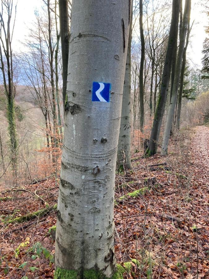 Wohnung Rhein-Wald-Und Weitsicht Rengsdorf Екстер'єр фото